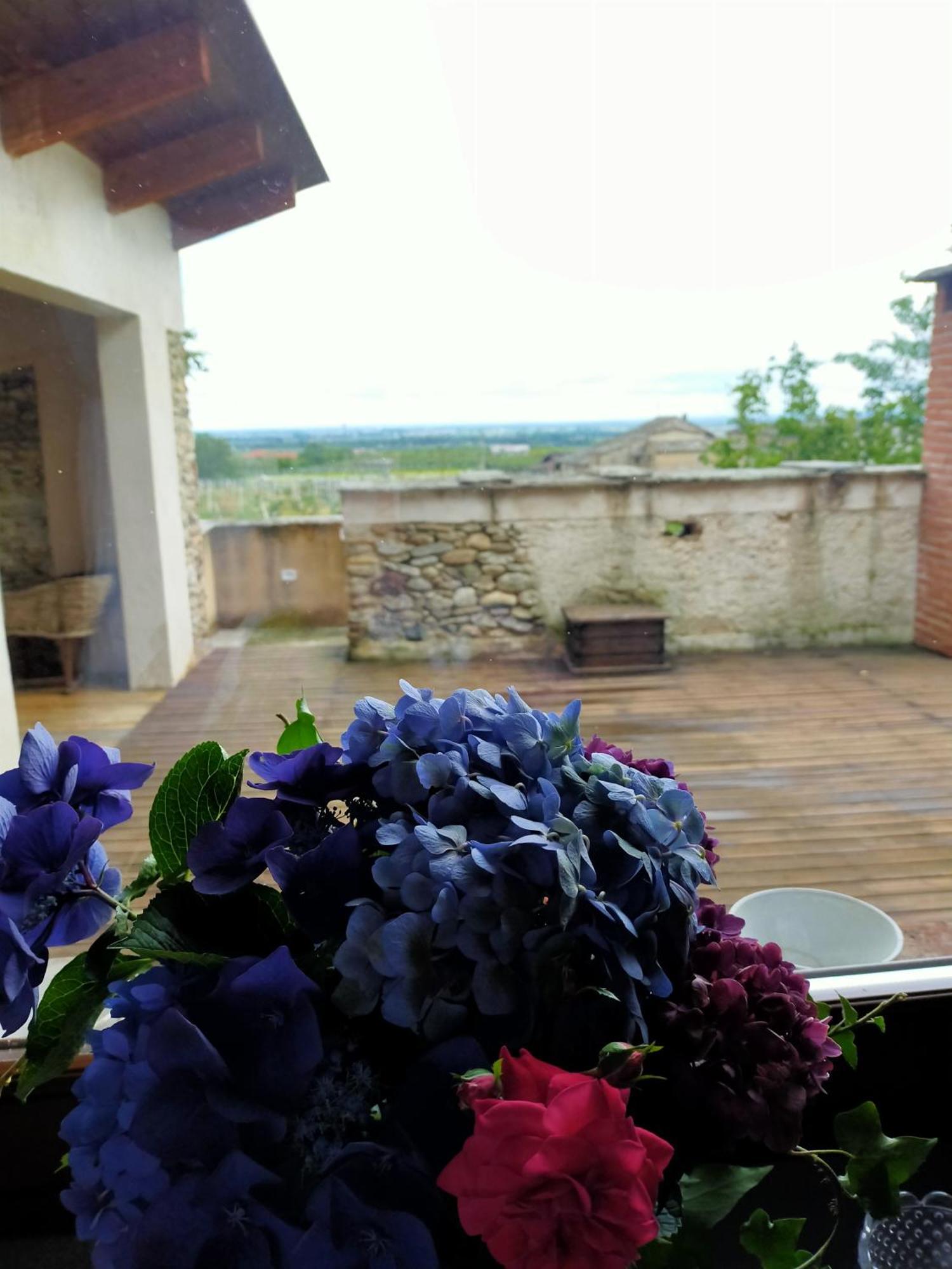 Вилла Agriturismo Magnarosa Бардже Номер фото